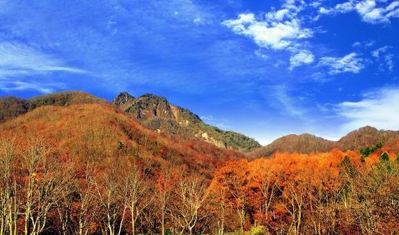 10月期生の声②