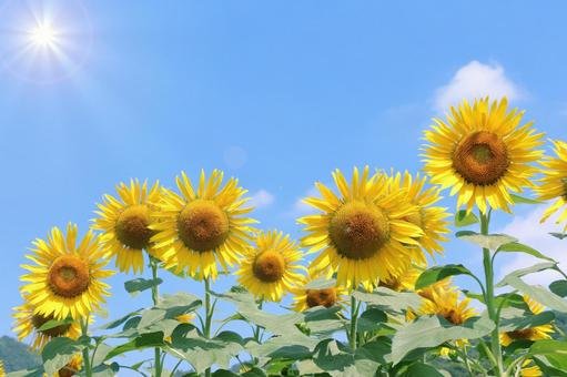 世の中は夏休みですが…