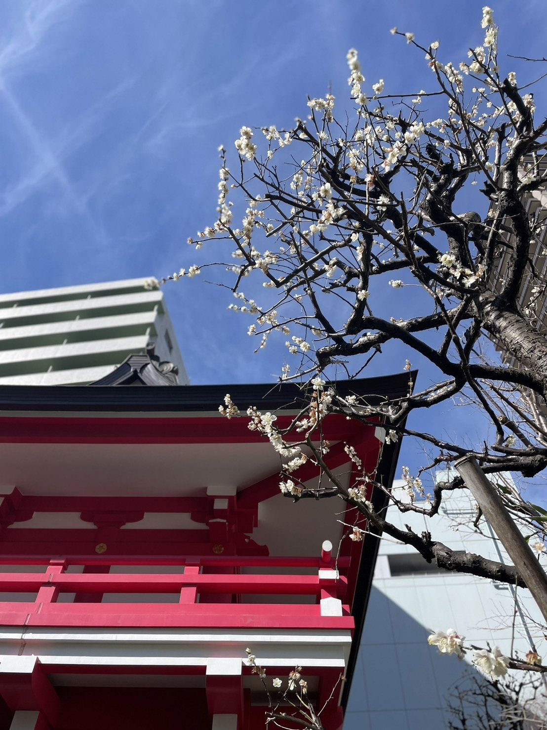 養成講座修了後の働き方